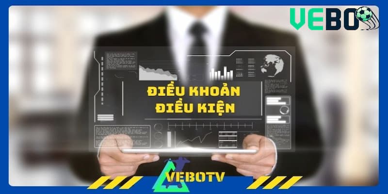 Điều khoản sử dụng chung của trang web VeboTV